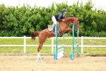 SBM_000456