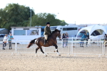 SBM_08930