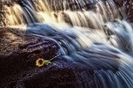 East Gill Force 03 C