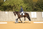 SBM_16537