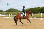 SBM_007736