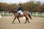 SBM_000494