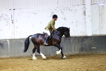 SBM_006713