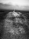 Shining Path