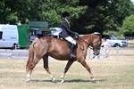 WJ7_3636