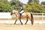 SBM_004087