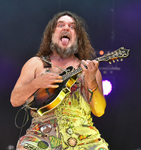Hayseed Dixie