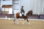 SBM_000498