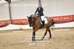 BPP_8230