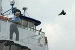 Assignment 2 - Pigeons