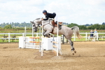 SBM_003493
