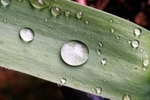 DSC00698