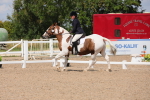 SBM_04155