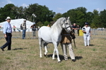 WJ6_4743