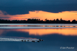 Nightswimming on Stoneyford Reservoir
