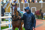 Race 6 portfolio