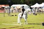 SBM_12635
