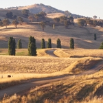 Tuscarumba