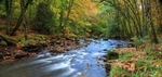 The River Teign - Devon