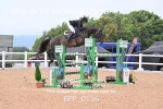 BPP_0116