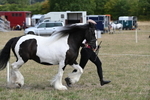 WJ6_6525