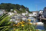 Flowers at Polperro