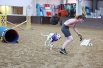 SBM_004798