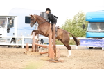 SBM_04595