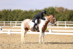 SBM_015465