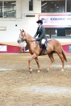 SBM_14908