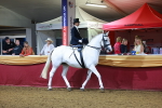 SBM_15026