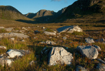 Poisoned Glen (10083228)