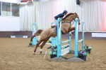 SBM_007484