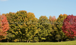 Bronte Park, Burlington