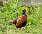 20110528-IMG_5430