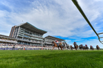 230526-Race 7-Golden Strike-8670