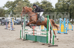North Showjumping_2016-155