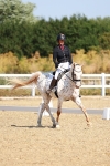 SBM_009649