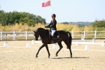 SBM_012653