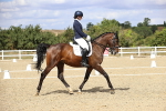 SBM_015208