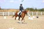 SBM_013884