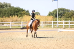SBM_012419