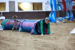 SBM_006268
