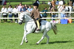 SBM_50313