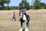 WJ6_9031