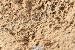 231013A-104246-01372
