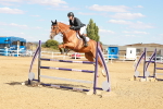 SBM_007525