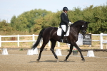 SBM_008520