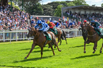 310526-Race 2-Dazzling Haze-8412