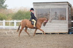 SBM_20552